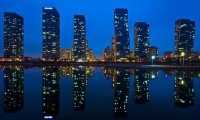 世界柔术锦标赛：技巧与耐心成就胜利者，世界柔术表演节目
