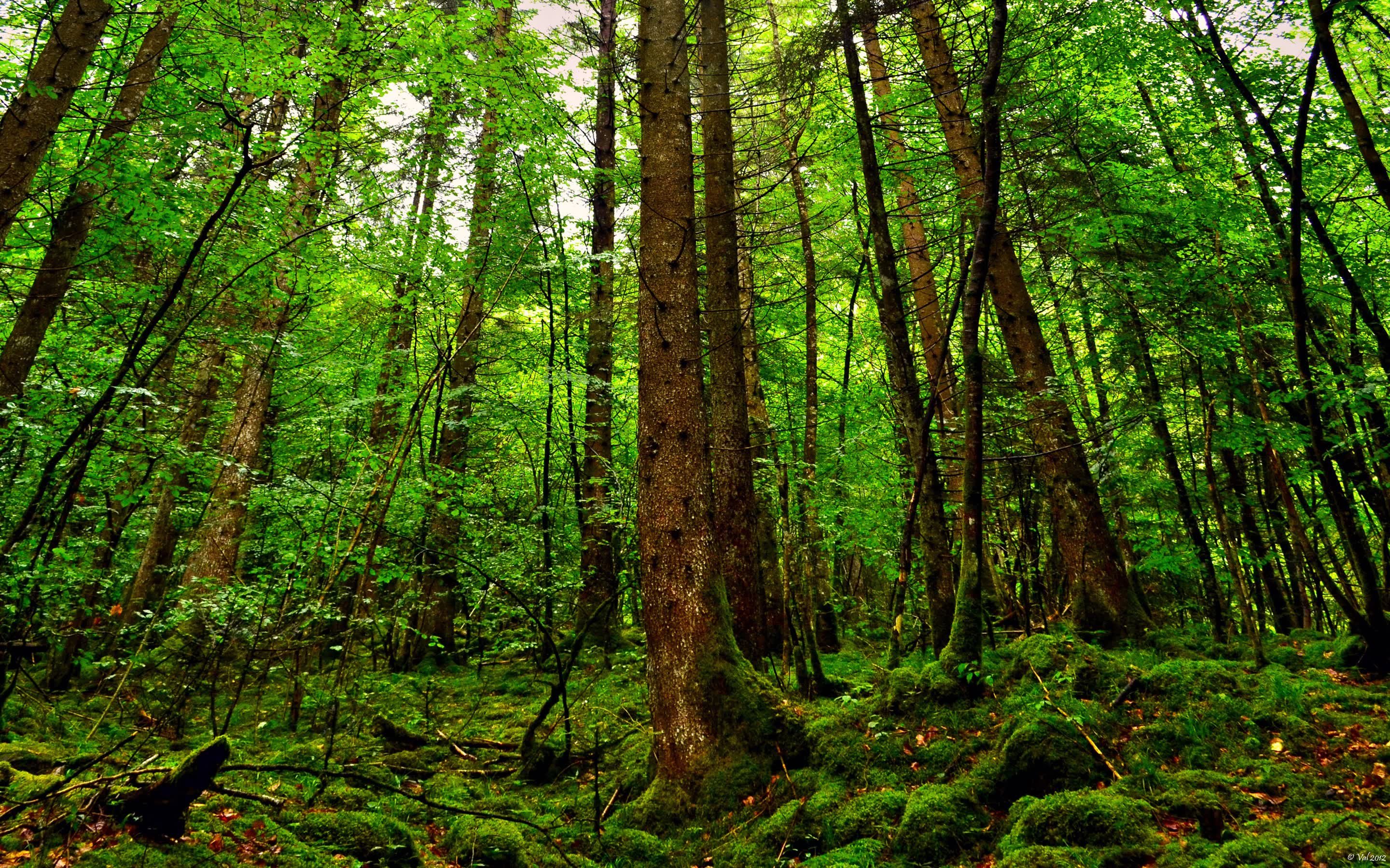 世界登山青年导师长期追踪研究第46期数据摘要发布,登山专家